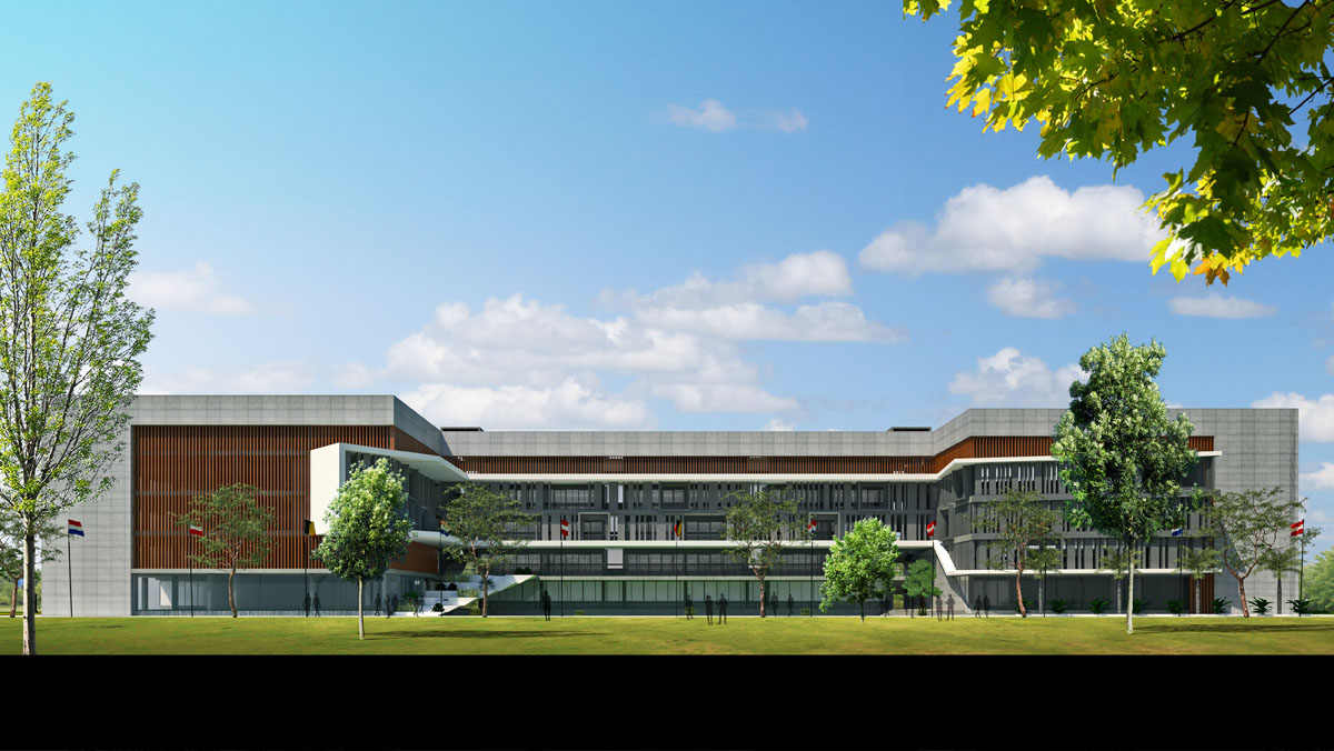 SPARKLING STAR CYGNUS