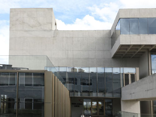 woxsen library